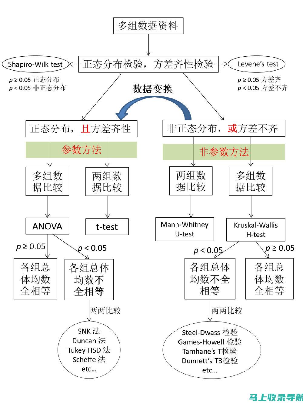 全面解析统计站长的职责与角色