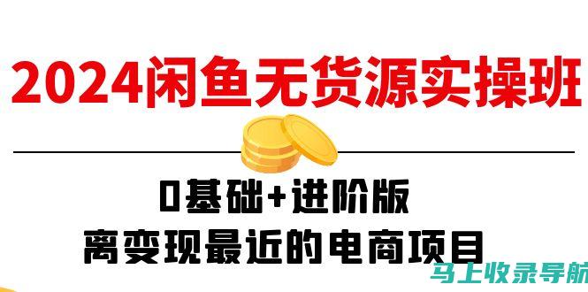 进阶实操：SEO站长工具在网站数据分析中的实战应用